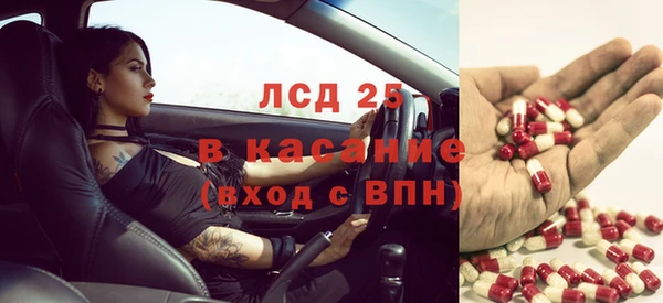 индика Алексин