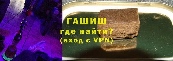 индика Алексин