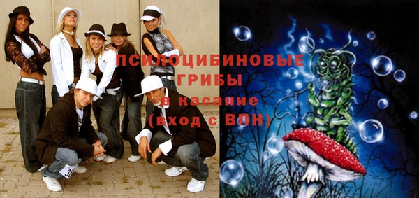 индика Алексин