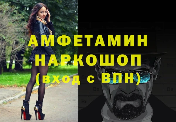 индика Алексин