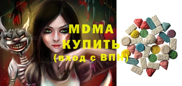 индика Алексин