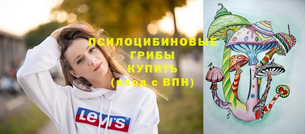 спайс Алексеевка