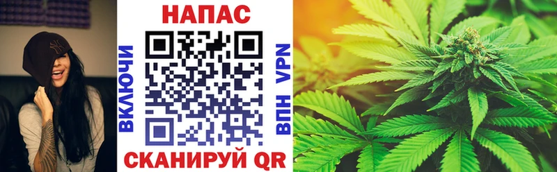 как найти наркотики  omg ONION  Марихуана Ganja  Удомля 
